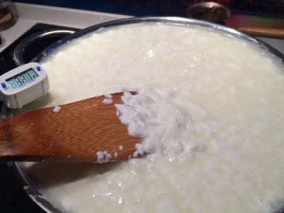 гол.сыр-покупное мол.jpg